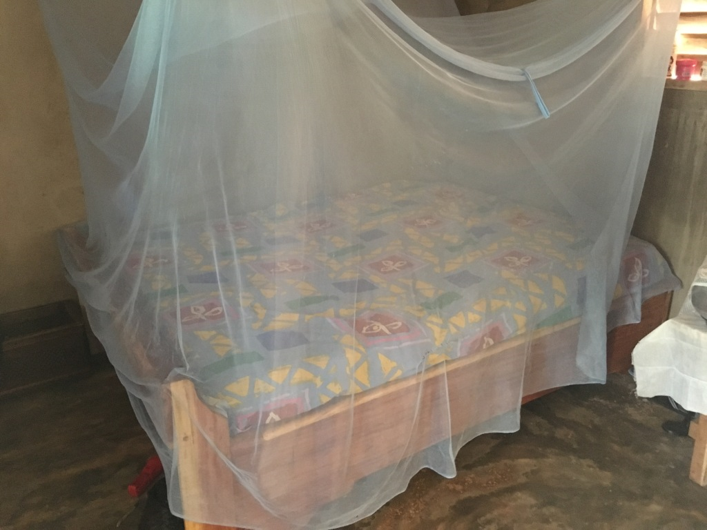 35972204_787536114773584_3259501550527053824_o