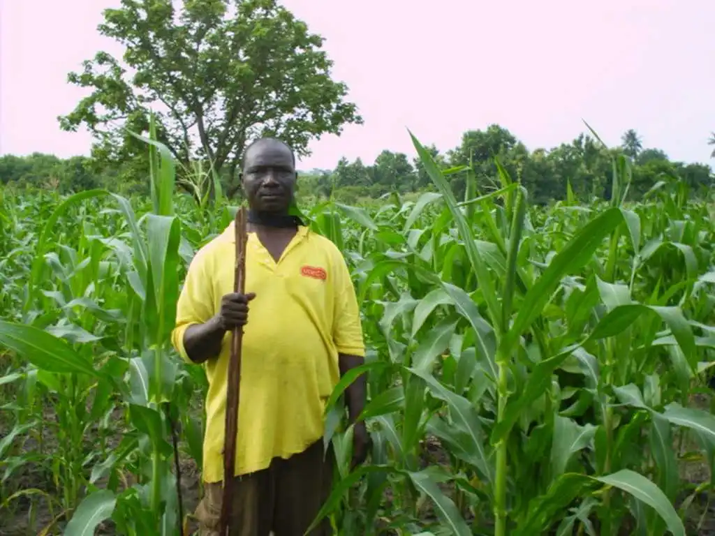 CiltureMaisAvance-017