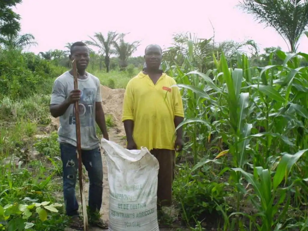 CiltureMaisAvance-018