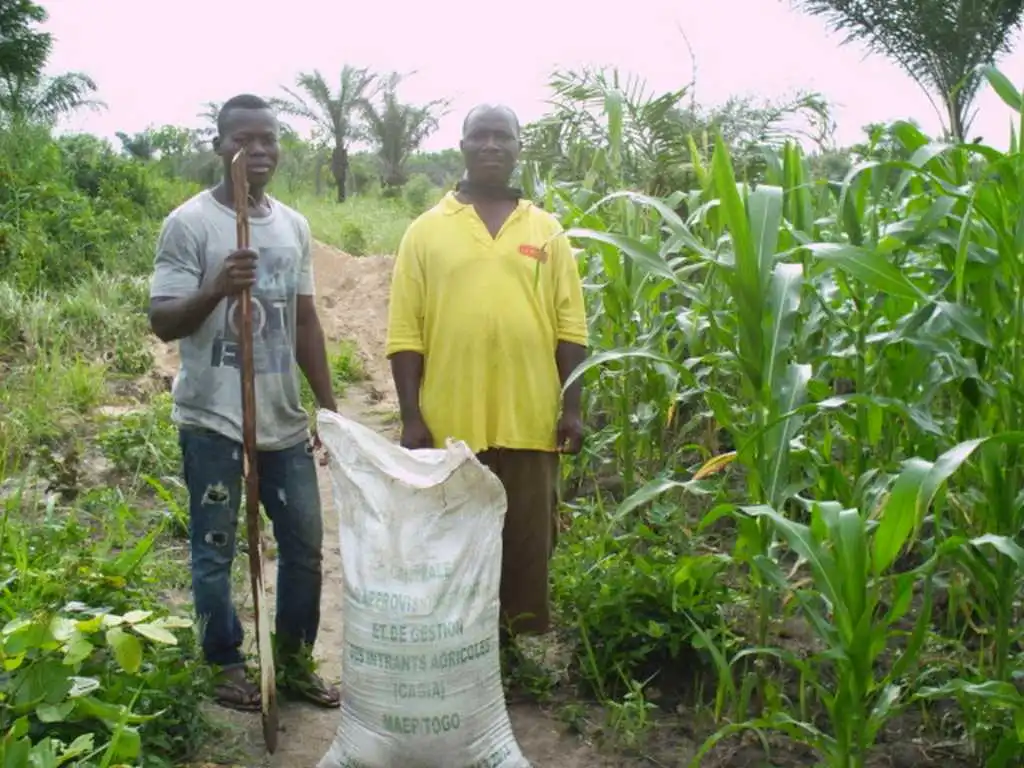 CiltureMaisAvance-019