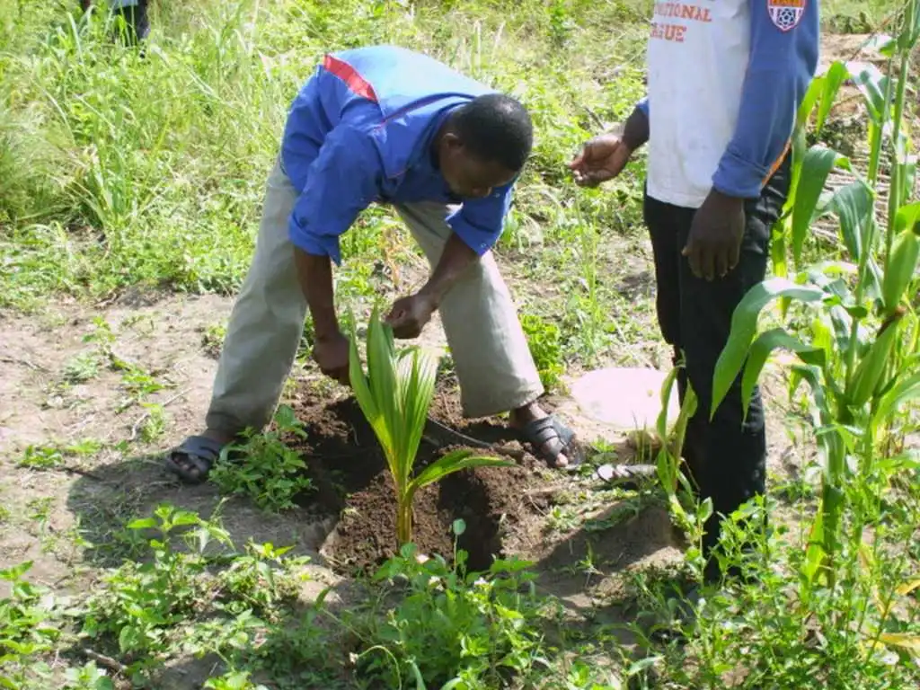 CiltureMaisAvance-020