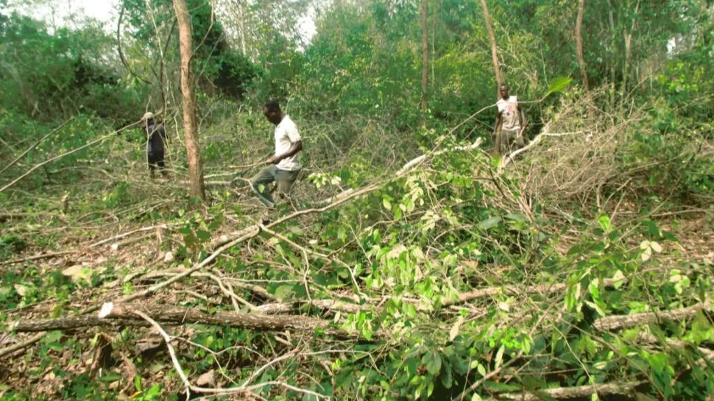 Nouveau projet agricole