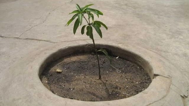 Travaux à la maison du Bonheur